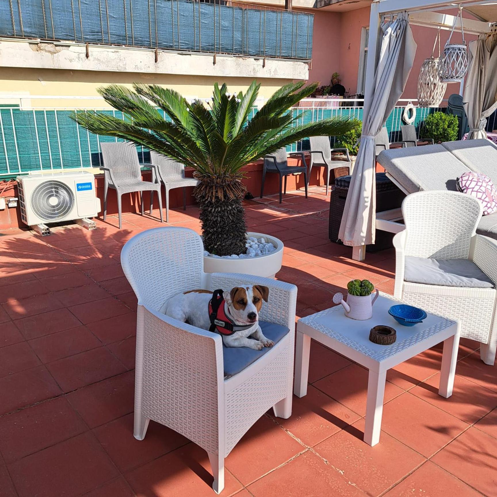 Apartamento Terrazza Miracapri Pozzuoli Exterior foto